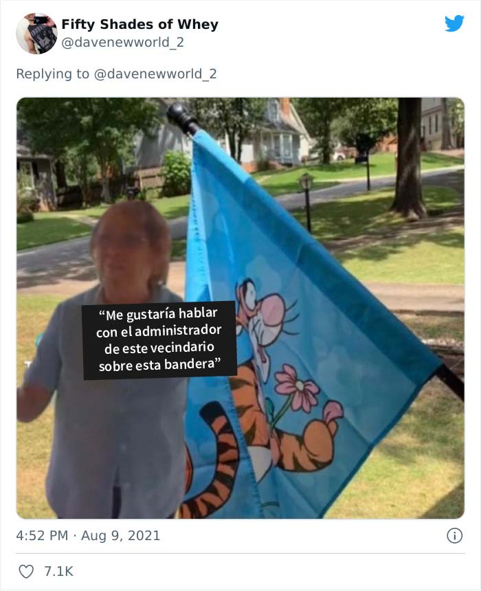 Esta Karen amargada se siente provocada por una bandera de Tigger que tiene su vecina y se vuelve viral en TikTok