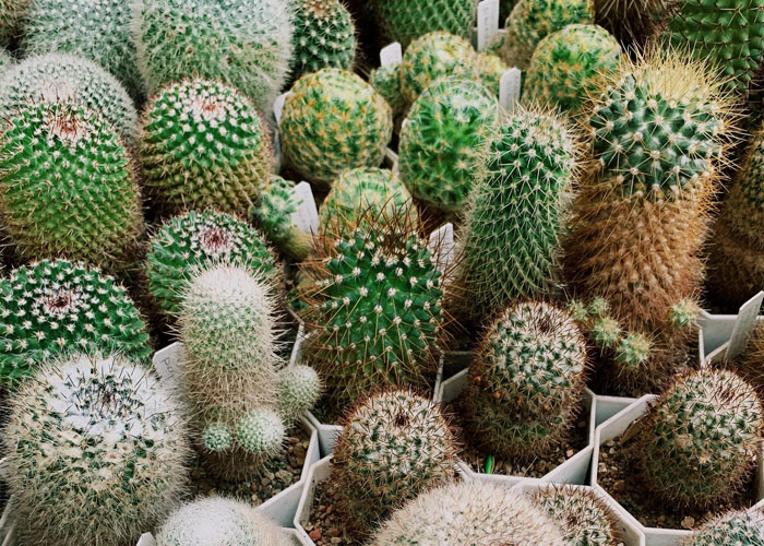 25 Cosas que la gente aprendió vergonzosamente tarde en la vida