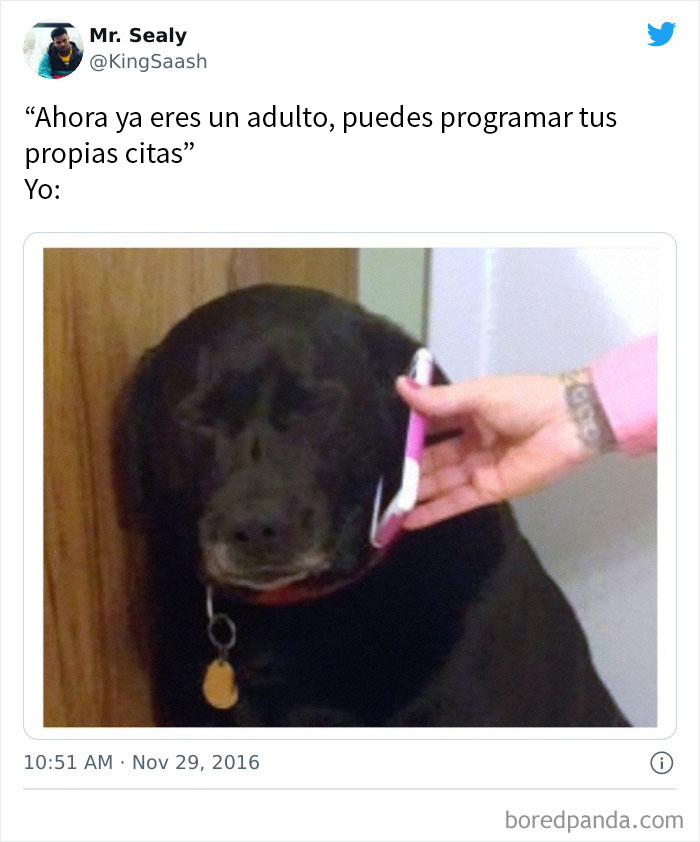 50 Hilarious Adulting Memes That Speak Only The Truth