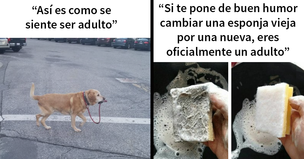 20 Divertidos memes sobre ser adulto que cuentan solo la verdad