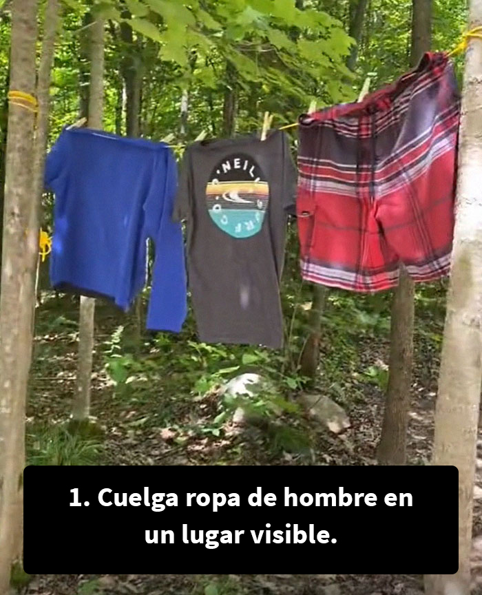 Esta tiktoker habla sobre 10 cosas que deber&iacute;as saber &ldquo;si eres mujer y te vas de acampada sola&rdquo;