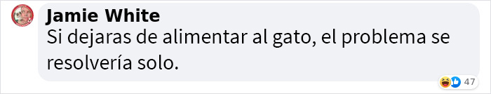 Se suponía que este gato tenía que atrapar a un ratón que vivía en la casa, pero acabaron haciéndose amigos Se suponía que este gato tenía que atrapar a un ratón que vivía en la casa, pero acabaron haciéndose amigos