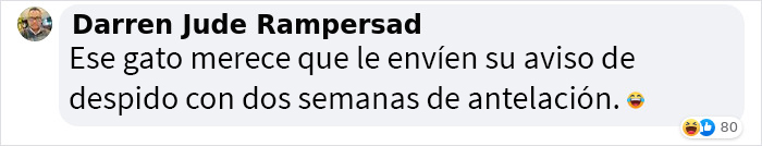 Se suponía que este gato tenía que atrapar a un ratón que vivía en la casa, pero acabaron haciéndose amigos Se suponía que este gato tenía que atrapar a un ratón que vivía en la casa, pero acabaron haciéndose amigos