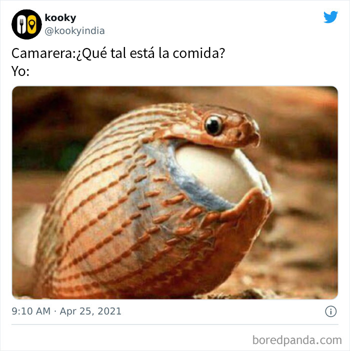 50 Of The Best Food-Related Memes