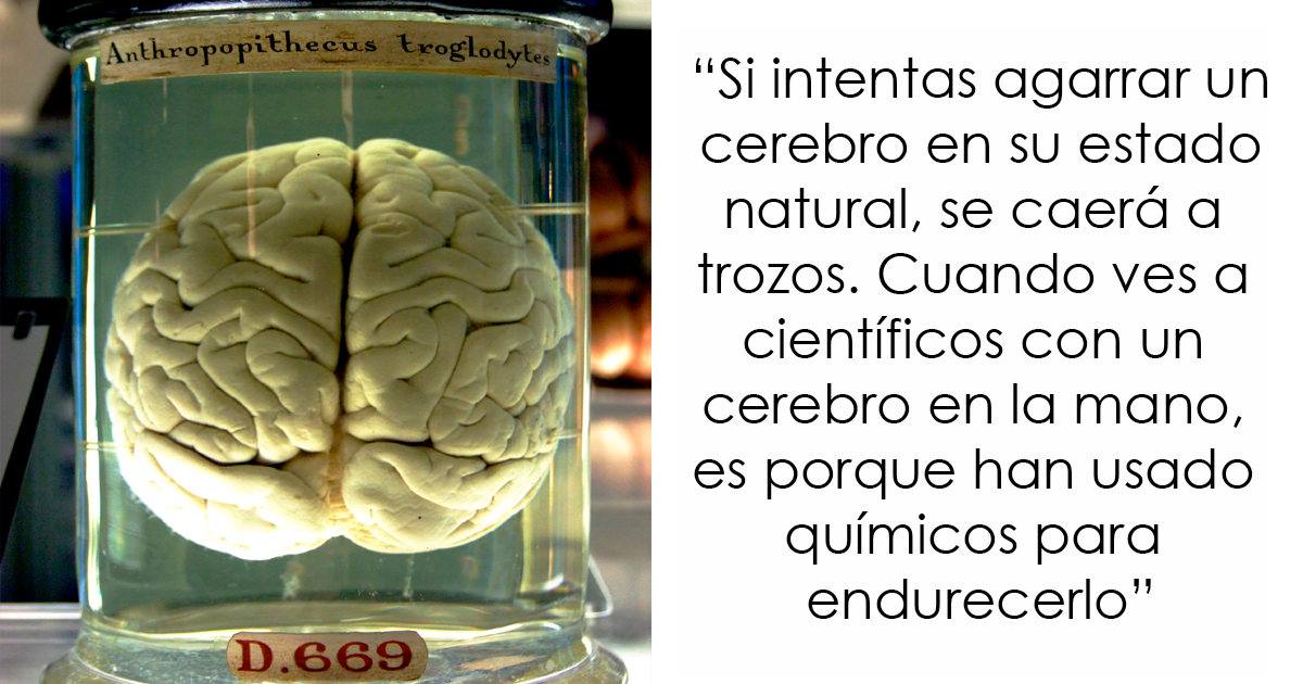 Este tipo comparte 26 datos inquietantes que te «arruinarán el día»
