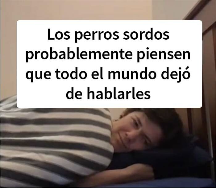 Guy Posted A Deep Shower Thought Every Day For A Year, Here Are 30 Of The Best