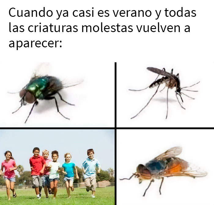 ¡Ya casi es verano!