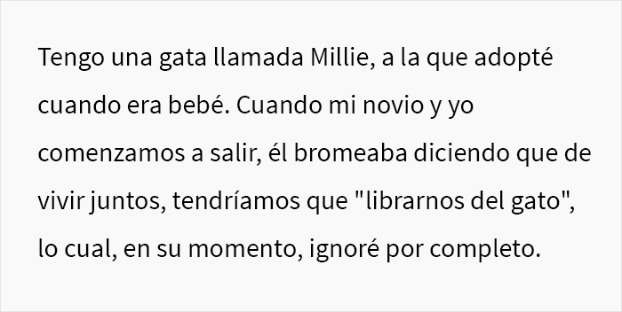 Esta mujer pregunta si fue una idiota por echar a su novio de su apartamento al descubrirlo habl&aacute;ndole de mala manera a su gata