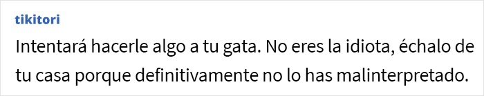 Esta mujer pregunta si fue una idiota por echar a su novio de su apartamento al descubrirlo habl&aacute;ndole de mala manera a su gata