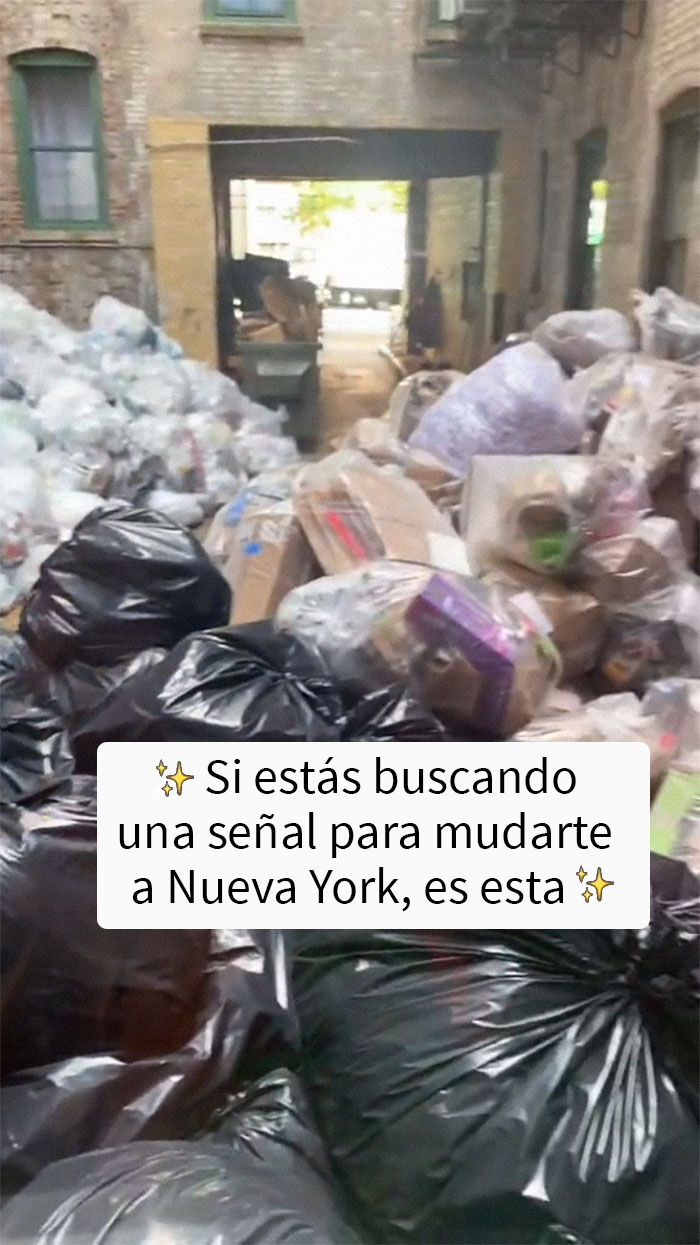 Esta mujer alquiló un apartamento en Nueva York por 1.575$ y tras mudarse descubre horrorizada las terribles vistas por su única ventana