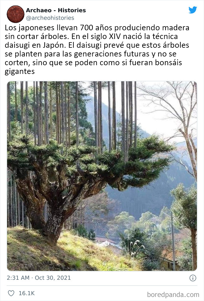 This Twitter Account Shares Interesting Historical Facts The World Should Not Forget (40 Pics)