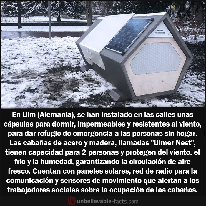 50 Facts That You Might Have A Hard Time Believing, Shared In This Facebook Group