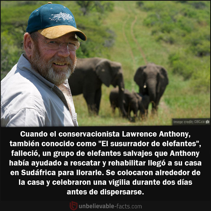 50 Facts That You Might Have A Hard Time Believing, Shared In This Facebook Group