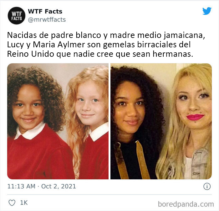 50 Random Facts That Sound Fake But Aren’t, Shared By This Twitter Account (New Pics)