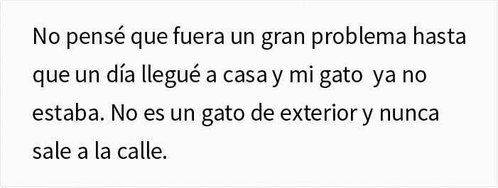 Esta mujer recibi&oacute; su merecido tras echar de casa al gato de su novio mientras &eacute;l no estaba
