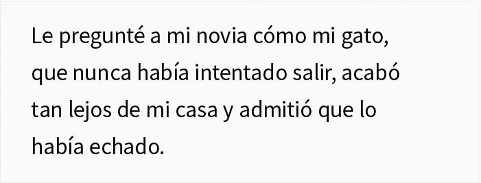 Esta mujer recibi&oacute; su merecido tras echar de casa al gato de su novio mientras &eacute;l no estaba