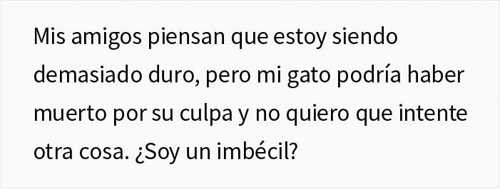 Esta mujer recibi&oacute; su merecido tras echar de casa al gato de su novio mientras &eacute;l no estaba
