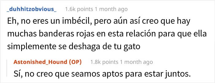 Esta mujer recibi&oacute; su merecido tras echar de casa al gato de su novio mientras &eacute;l no estaba