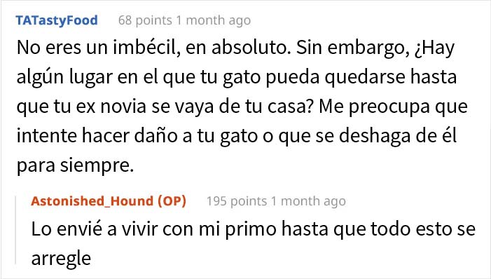 Esta mujer recibi&oacute; su merecido tras echar de casa al gato de su novio mientras &eacute;l no estaba