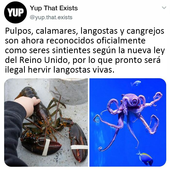 50 Things You Probably Never Knew Existed Shared By "Yup That Exists" Instagram Page