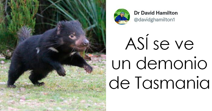 20 Científicos comparten «un dato científico» que desearían que todo el mundo supiera