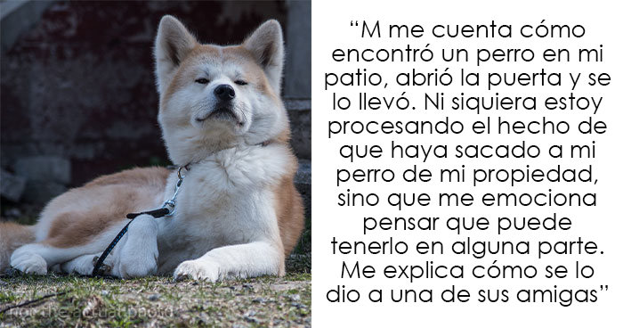 Esta vecina se coló en el patio de una mujer y se llevó su perro para regalárselo a una amiga, pero se molesta cuando la dueña va a recuperarlo