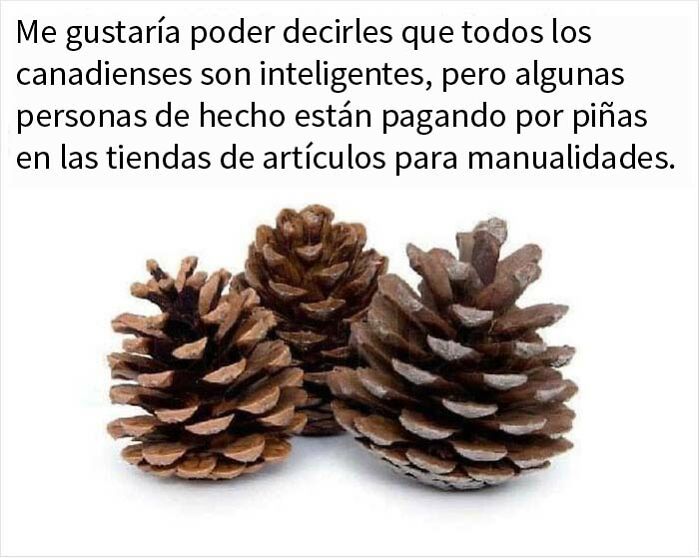 35 Canadian Memes That Are Making People Crack Up At The Country’s Stereotypes