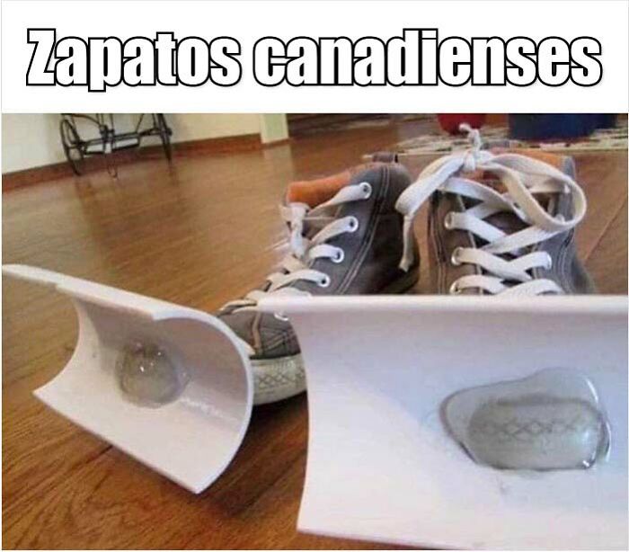 35 Canadian Memes That Are Making People Crack Up At The Country’s Stereotypes