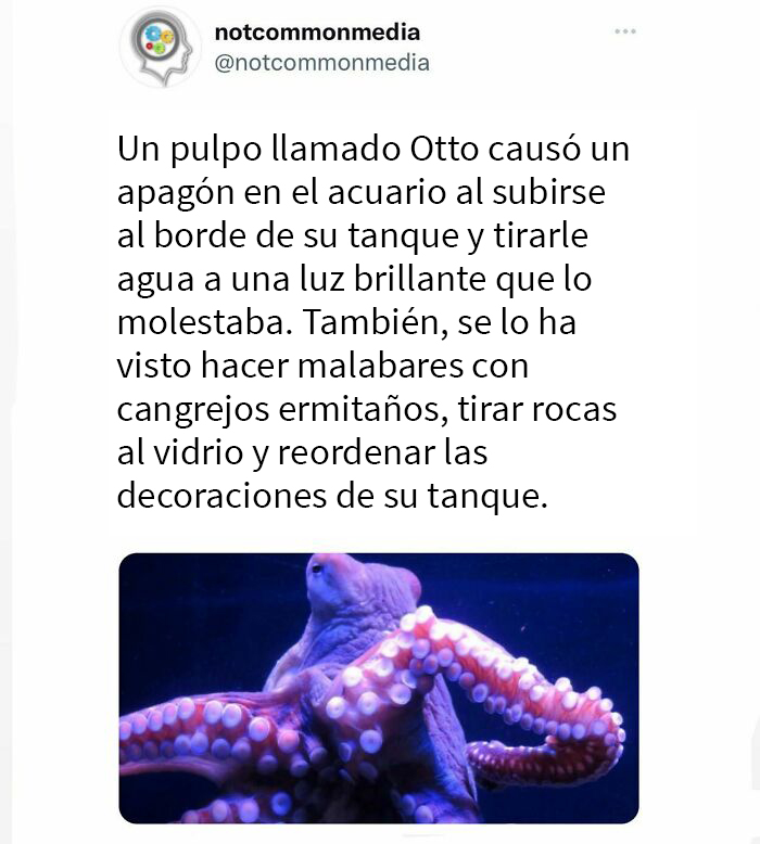 50 ‘Not Common Facts’ Shared By This Instagram Page With 7.2M Followers