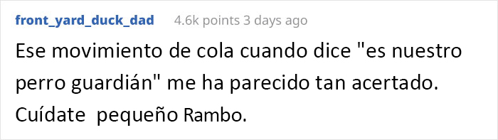 Este cachorro rescatado por soldados ucranianos se convierte en un fiel perro guardi&aacute;n