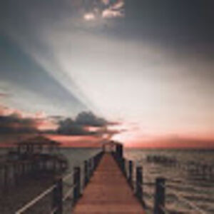 saraelmssilak avatar