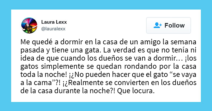 Estos usuarios relatan cómo son las curiosas rutinas nocturnas de sus gatos