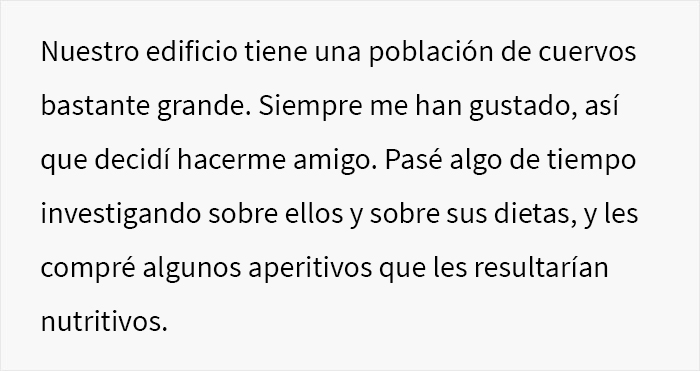 Esta persona vio cómo alguien se vengó de sus vecinos acosadores y descubrió que fueron los cuervos de los que se había hecho amiga previamente