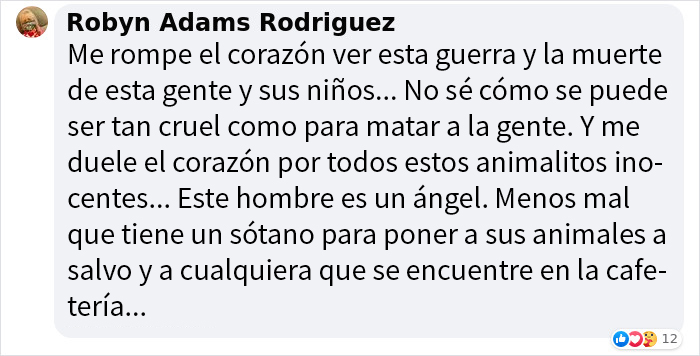 “Nunca abandonaríamos nuestro país”: Esta cafetería de gatos ucraniana permanece abierta durante la guerra