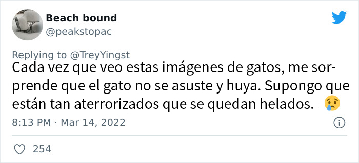 Esta mujer carga con su gato mientras lo consuela ante el sonido de las alarmas de ataque aéreo en Kyiv, Ucrania Esta mujer carga con su gato mientras lo consuela ante el sonido de las alarmas de ataque aéreo en Kyiv, Ucrania