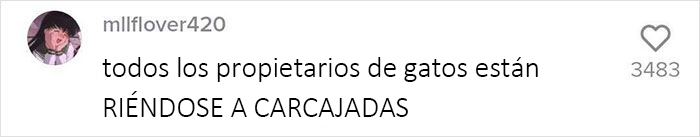 Estos caseros exigen a sus inquilinos que hagan una prueba de ADN a sus perros para averiguar qui&eacute;n no recoge las cacas