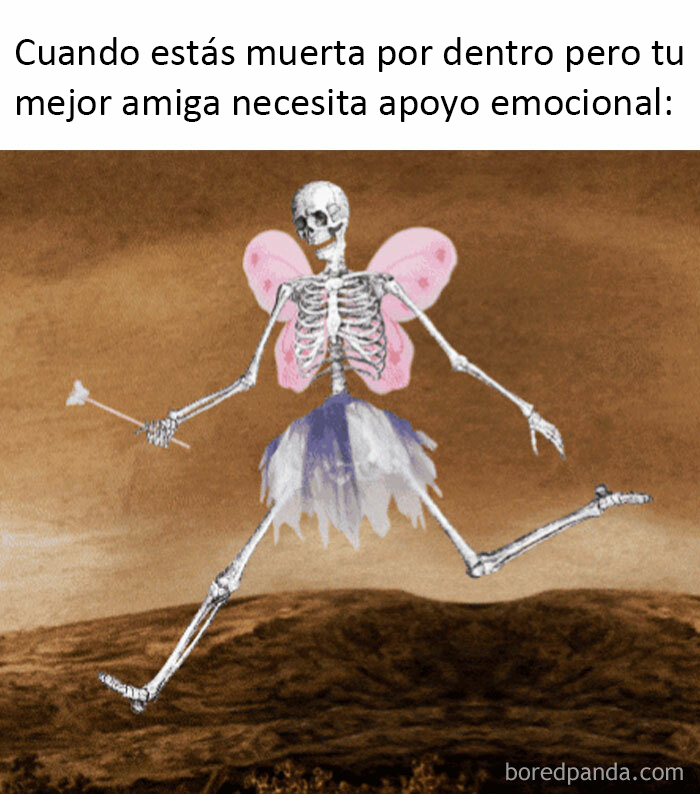 40 Funny ‘Antisocial Memes’ Introverts Might Relate To