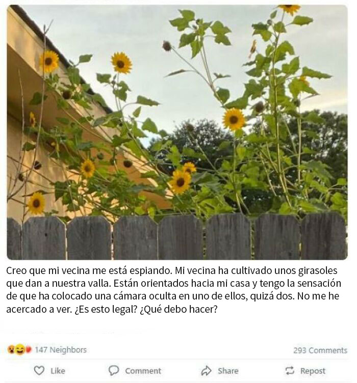 Luego de esto pregunta qué aceites esenciales sirven para la covid