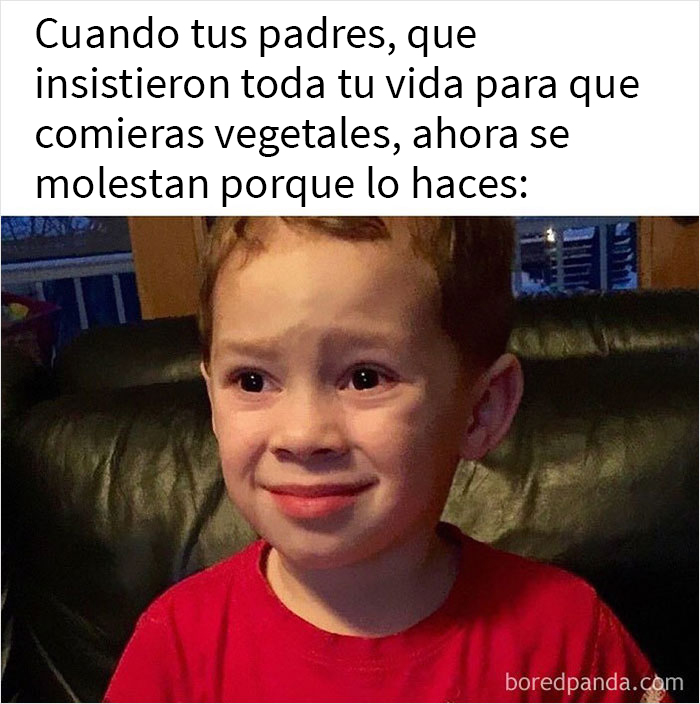 Over 350k People Follow This Instagram Account Dedicated To “Vegan Sarcasm” And Here Are 30 Of The Funniest Memes Posted There