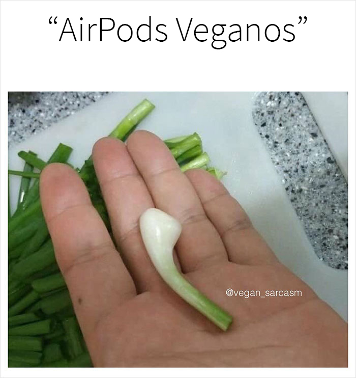 Over 350k People Follow This Instagram Account Dedicated To “Vegan Sarcasm” And Here Are 30 Of The Funniest Memes Posted There