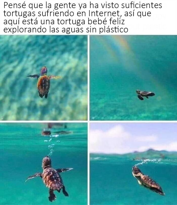 50 Posts From The “Wait This Is Wholesome” Facebook Group To Restore Your Faith In Humanity