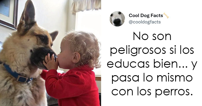 25 Tuits que demuestran que los perros son realmente los mejores amigos del hombre, compartidos por esta cuenta de Twitter