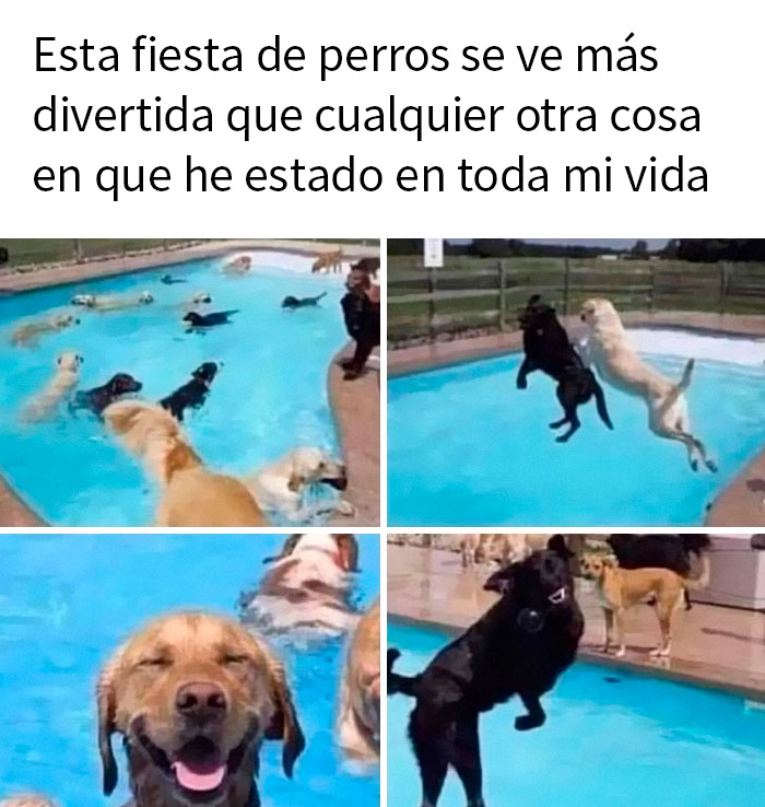 50 Wholesome Memes That Remind Us The World Isn't All Bad