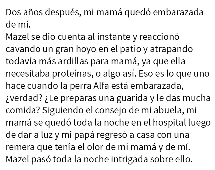Estos padres adoptaron lo que resultó ser un híbrido de lobo y acabó siendo el perro más adorable de todos
