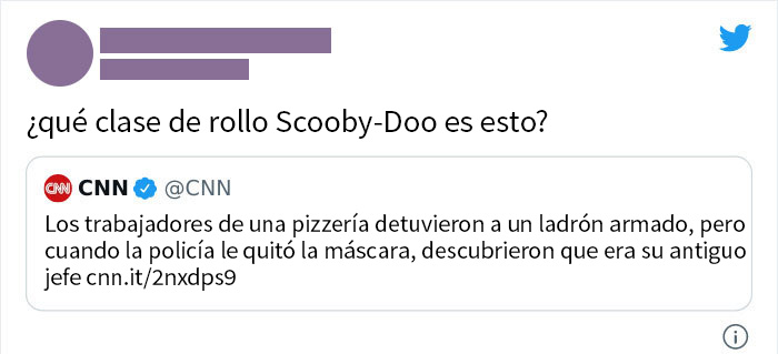 Un loco se pone en plan Scooby Doo y roba su propia tienda