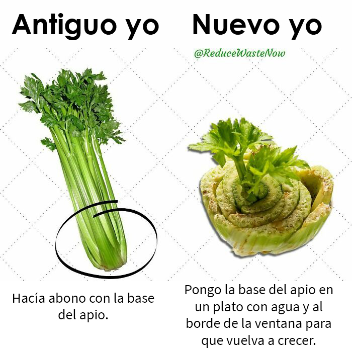 30 'Old Me vs. New Me' Memes That Might Help You Reduce Waste (New Posts)