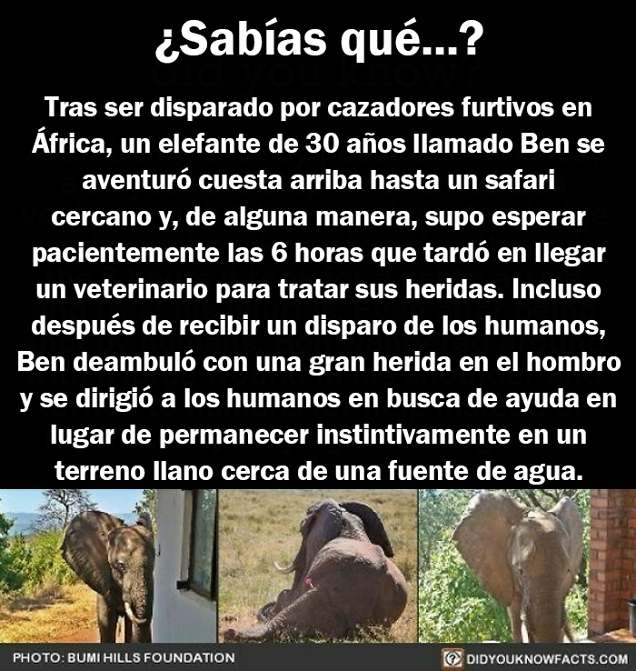 This Instagram Account Shares 50 Interesting And Fact-Checked Things You Might Not Know About The World