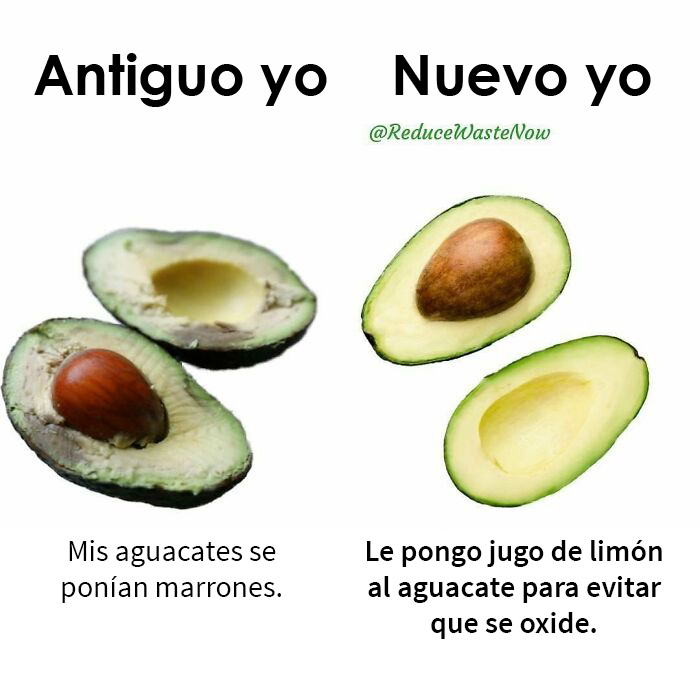 30 'Old Me vs. New Me' Memes That Might Help You Reduce Waste (New Posts)