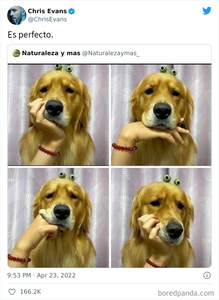 50 Of The Very Best Tweets From Celebrities