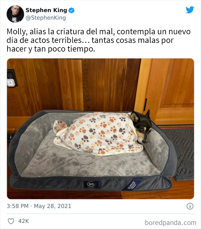 50 Of The Very Best Tweets From Celebrities